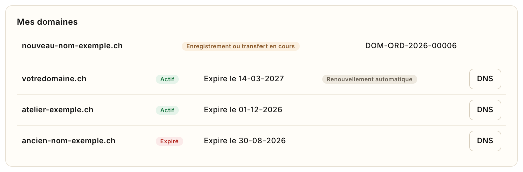La liste : un domaine en cours d'enregistrement, puis trois domaines