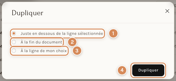 La fenêtre Dupliquer et ses trois choix