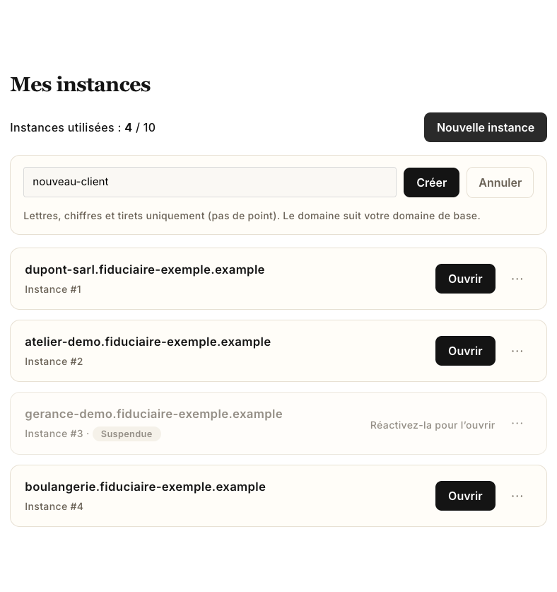 Le formulaire de création : le nom de l'instance, les boutons Créer et Annuler et la règle des caractères