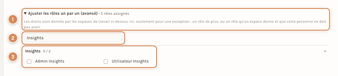 Le bloc Rôles de la fiche d'un compte : les deux rôles Insights, en cochant la case voulue