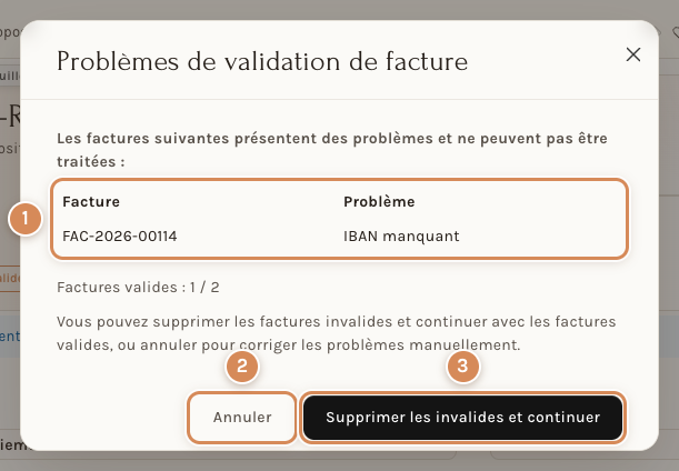 La fenêtre Problèmes de validation de facture