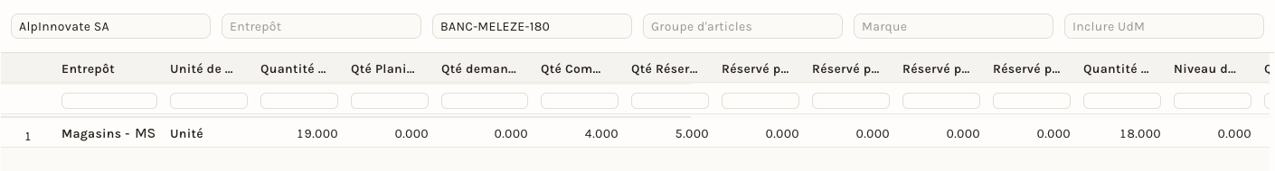 Le rapport Qté de Stock Projeté, filtré sur un article