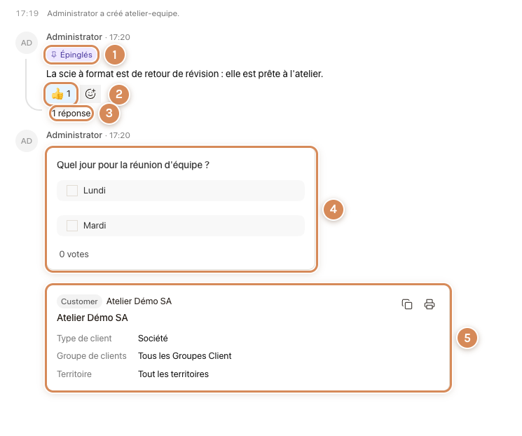 Un message épinglé avec réaction et fil, un sondage et une fiche jointe
